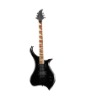 Electric Guitar