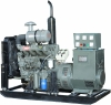 Electricity generator
