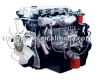 Engine / Auto engine /Auto motor For Cummins, Isuzu,Iveco,Perkins