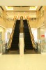 Escalator (public traffic escalator;FUSHILI escalator series)