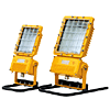Explosion-Proof Light
