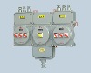 Explosion proof lighting/power distribution Box