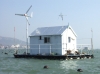 Family wind driven generator