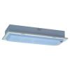 Fluorescent Ceiling Light