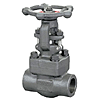 Forged Steel Valves