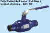 Fully Welded Ball Valve  ( Full Bore )