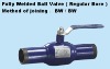 Fully Welded Ball Valve ( Regular Bore )