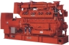 GUASCOR generator