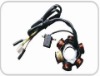 GY6-6 full wave magneto coil