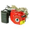Gas Engine