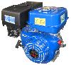 Gasoline engine with EPA