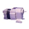 Gear Reducer Motor