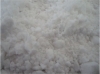 Glyoxylic acid monohydrate