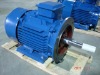Gost standard electric motor
