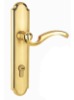 Handle Door Lock FH6031SG/G