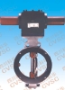 High Performance Butterfly Valve Series 2