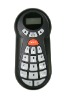 IPVOTE voting system