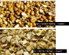 IQF chestnut kernel