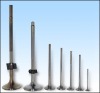 Inlet and Exhaust Valves