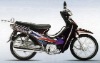 JP110-6A(302)