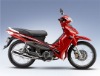 JS110-B2 motorcycle