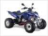 JS250 ATV-8