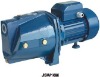 JSW10M Water Pump