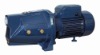 Jet pump(DJWm series Pump)