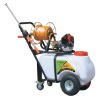Knapsack Power Sprayer(DY-55)