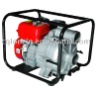 LC80WB30-4.5Q Water Pump