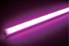 LED Down Light