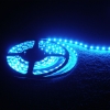 LED Light,LED Lighting,LED Lamp