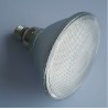 LED Light(LED lamp, LED light bulb)PAR38