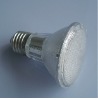 LED Light (PAR20)