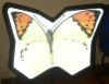 LED Panel in Irregular Shape
