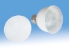 LED Spot Light