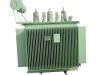 M.R Oil Complete Sealed Distribution Transformer