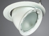 Metal halogen down light