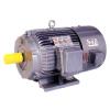 Model YBP Motors with Converters