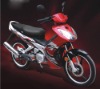 Motorcycle/Cub Motorcycle WJ110-A(D)(WJ-SUZUKI Engine)
