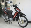 Motorcycle/Cub Motorcycle WJ110(V)(WJ-SUZUKI ENGINE)
