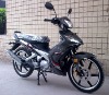 Motorcycle/Cub Motorcycle WJ50-A(D)(EEC)
