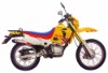 Motorcycle/Dirt Bike WJ200GY(A)(CB 200cc Engine)