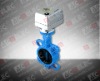 Motorized Butterfly Valve