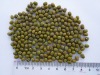Mung Bean