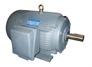 NEMA MOTOR