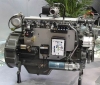 Natural Gas Engine (20-1000kW)