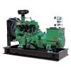 Natural Gas Generating Set