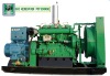 Natural gas generator--200KW