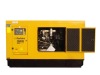 PERKINS diesel generator